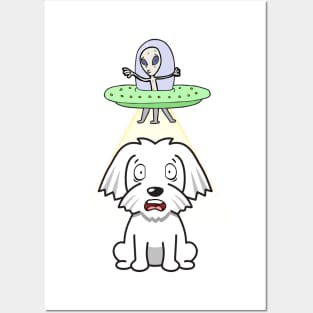 Cute white dog is abducted by aliens Posters and Art